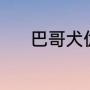 巴哥犬优缺点（巴哥什么意思）