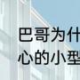 巴哥为什么一直叫个不停（十大最省心的小型狗狗巴哥犬）