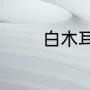 白木耳和银耳的区别是什么