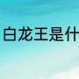 白龙王是什么（什么带鱼是三个字的）