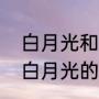 白月光和朱砂痣什么区别（朱砂痣和白月光的区别）