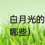 白月光的终极解释（白月光的歌曲有哪些）
