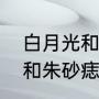 白月光和朱砂痣是什么意思（白月光和朱砂痣的区别）