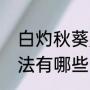 白灼秋葵是怎么做的（白灼秋葵的做法有哪些）