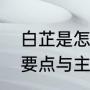 白芷是怎样种植的（白芷种植技术的要点与主要步骤）