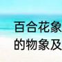 百合花象征的意义是什么（百合花中的物象及其象征意义）