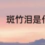斑竹泪是什么意思（斑竹泪的典故）
