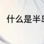 捭阖的意思（解读捭阖）