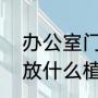 办公室门口放什么植物，办公室门口放什么植物知识