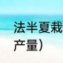 法半夏栽培技术（半夏种植周期与亩产量）
