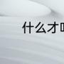 什么才叫伴侣（伴侣是夫妻吗）