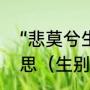 “悲莫兮生别离生莫兮新相知”什么意思（生别离什么意思）