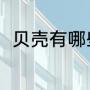 贝壳有哪些种类（贝壳有哪些种类）