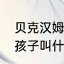 贝克汉姆有几个孩子（汪汪家的七个孩子叫什么名字）