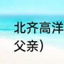 北齐高洋为何能夺得权力（北齐高洋父亲）