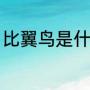 比翼鸟是什么鸟（比翼鸟是什么意思）