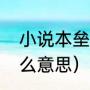 小说本垒打什么意思（本垒打书是什么意思）