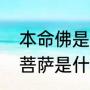 本命佛是什么（算命说本命佛是文殊菩萨是什么意思）