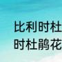 比利时杜鹃冬天室外能过冬吗（比利时杜鹃花的花语）