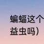 蝙蝠这个字读音是什么（蝙蝠读音是益虫吗）