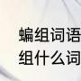 蝙组词语有哪些（蝙组词蝙蝠，还能组什么词）