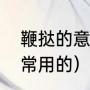 鞭挞的意思是什么（鞭笞是什么意思常用的）