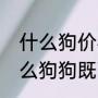 什么狗价格便宜又好养又不可爱（什么狗狗既可爱又便宜又好养）