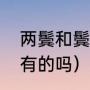两鬓和鬓角的区别（鬓角是每个人都有的吗）