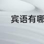 宾语有哪些（语文里什么是宾语）