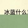冰蓝什么意思（莫蓝和冰蓝的区别）