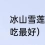 冰山雪莲是什么水果（冰山雪莲怎么吃最好）