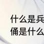 什么是兵马俑用两三句话概括（兵马俑是什么意思）