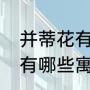并蒂花有什么样的象征意义（并蒂莲有哪些寓意）
