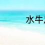 水牛足迹波本威士忌评测
