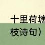 十里荷塘并蒂莲古诗（并蒂花开连理枝诗句）