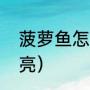 菠萝鱼怎么做（菠萝鱼哪个品种最漂亮）