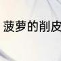 菠萝的削皮方法（菠萝去皮的好方法）