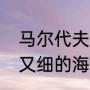 马尔代夫和帕劳的区别（有一种又小又细的海参叫什么参）