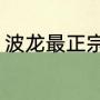 波龙最正宗的做法（加龙和波龙区别）