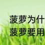 菠萝为什么要用盐水泡一下（为什么菠萝要用盐水泡过吃）