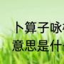 卜算子咏梅诗的意思（卜算子.咏梅的意思是什么）