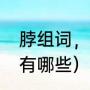 脖组词，用脖字怎么组词（脖组词语有哪些）