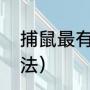捕鼠最有效的方法（捕鼠最有效的方法）