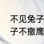 不见兔子不撒鹰是什么意思（不见兔子不撒鹰比喻什么）