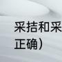 采拮和采撷的区别（采拮和采撷哪个正确）