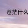 苍茫什么意思（苍茫是什么意思）