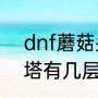 dnf蘑菇头传说卡怎么用（十八罗汉塔有几层）