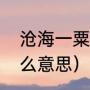 沧海一粟的成语解释（沧海一粟是什么意思）