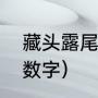 藏头露尾诗句（藏头露尾可以解什么数字）