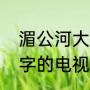 湄公河大案中沙娜扮演者（剧名带型字的电视剧）